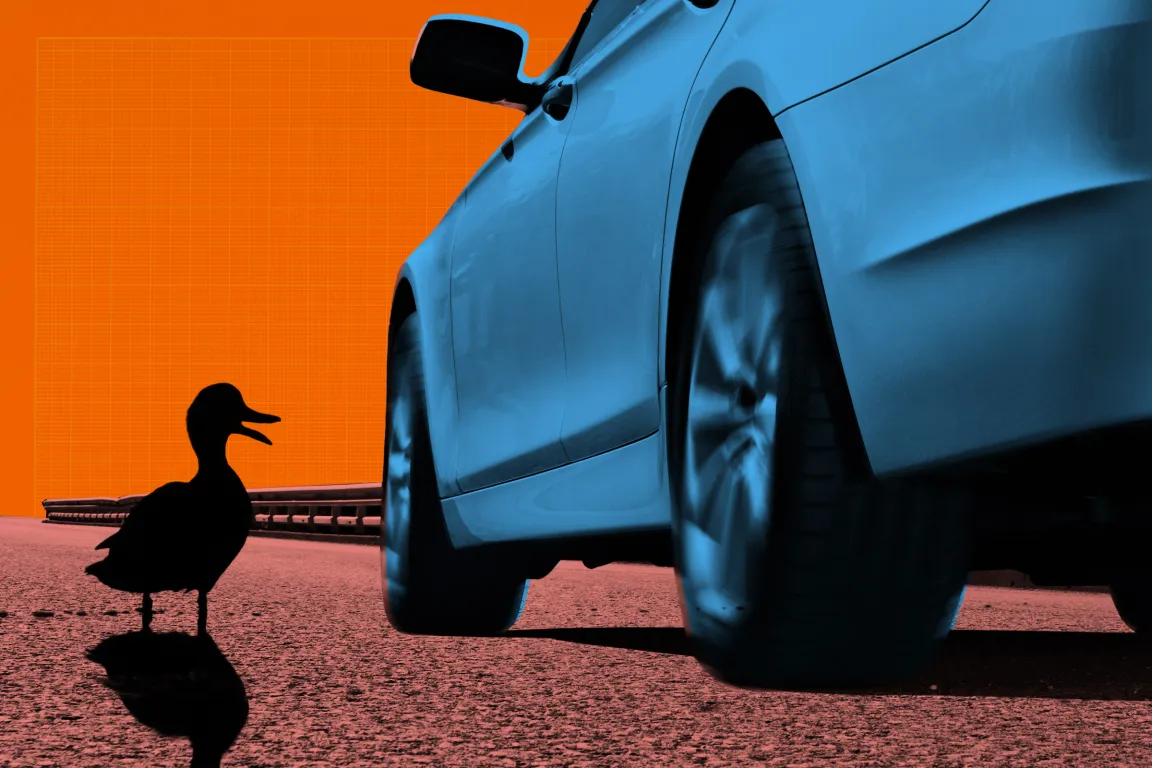 A close-up view of a blue car's rear side and spinning wheel on a road, with a black silhouette of a duck standing nearby. The background features a bright orange sky and a guardrail along the road.