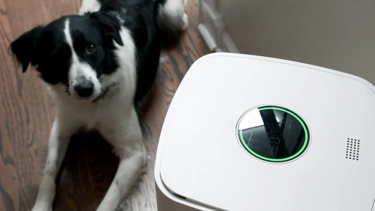 Air Oasis iAdaptAir 2.0 smart air purifier