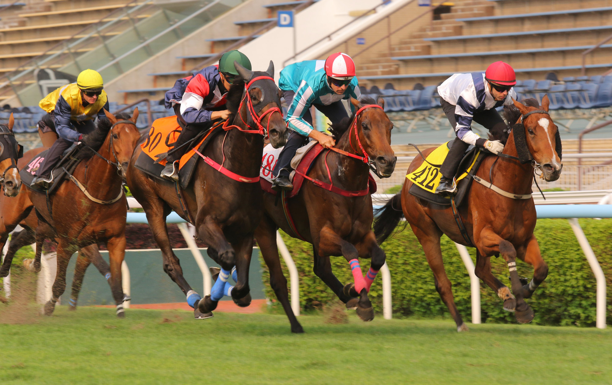 Numbers (left) trials with Romantic Warrior (middle) and Rubylot (right) at Sha Tin this month. Numbers (left) trials with Romantic Warrior (middle) and Rubylot (right) at Sha Tin this month.