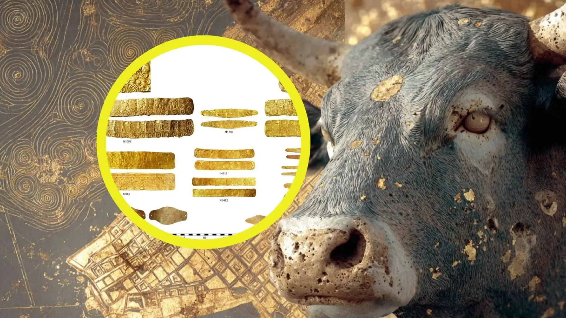 Cabeza de toro