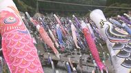 圧巻の光景　3000匹のこいのぼり温泉街を彩る「こんな景色見たことない」ライトアップも