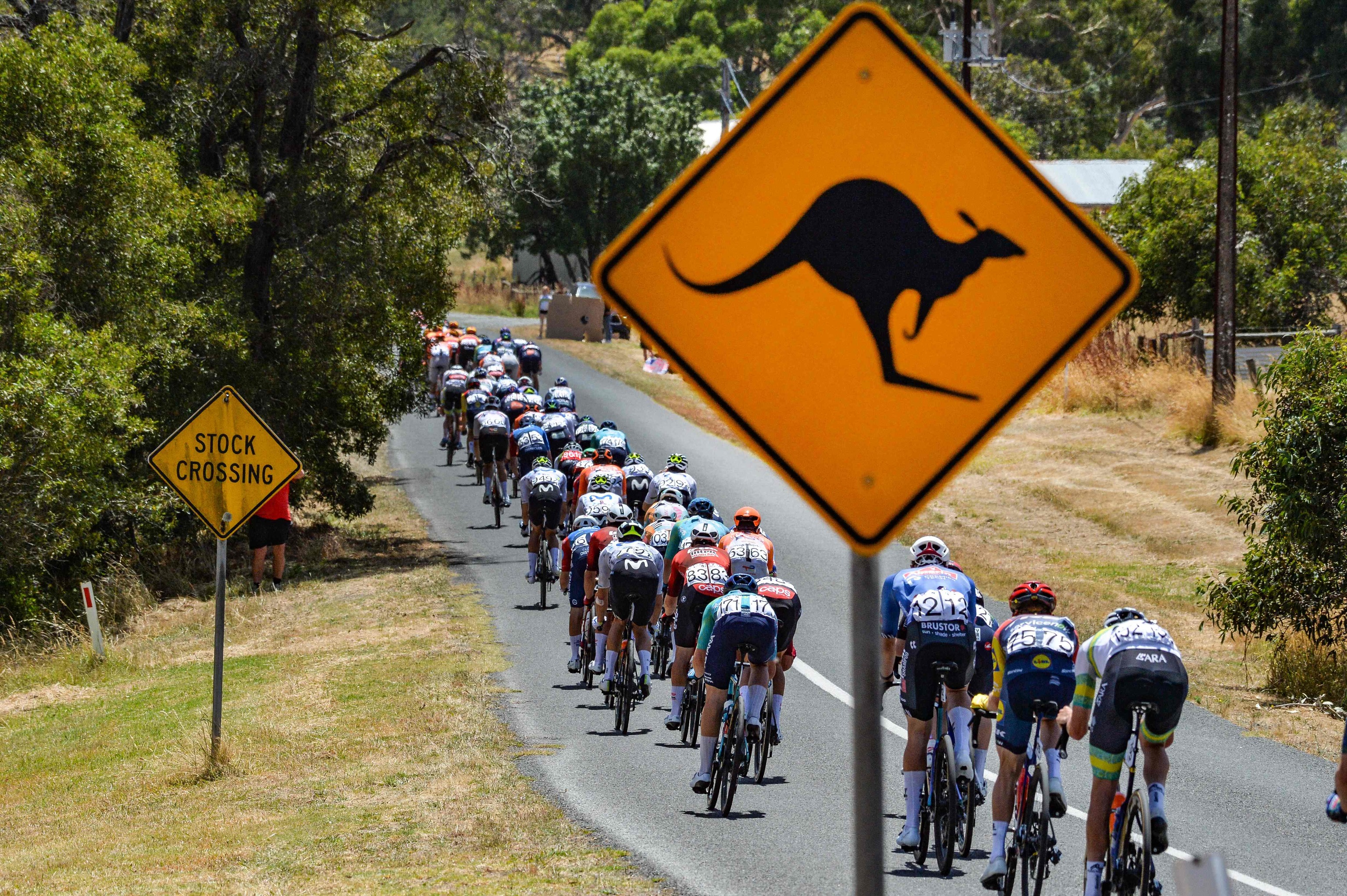 El pelot�n del Tour Down Under, el domingo, a su paso por Adelaida.