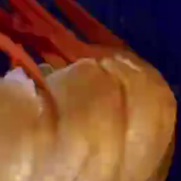 1Mbps frame