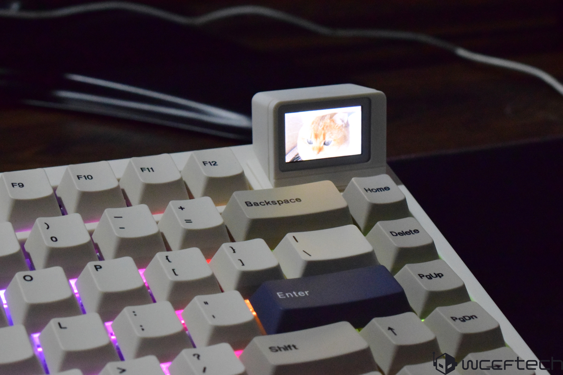 A mechanical keyboard featuring a small display above the keys showing an image of a cat.
