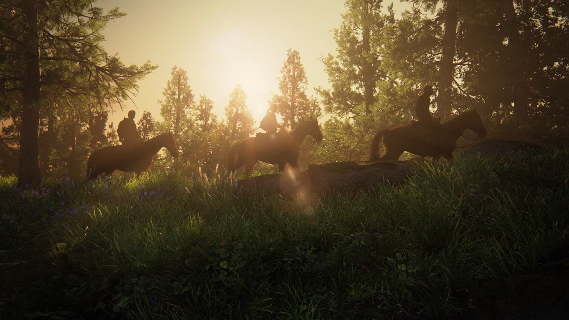 Survivors ride across a forest at sunset