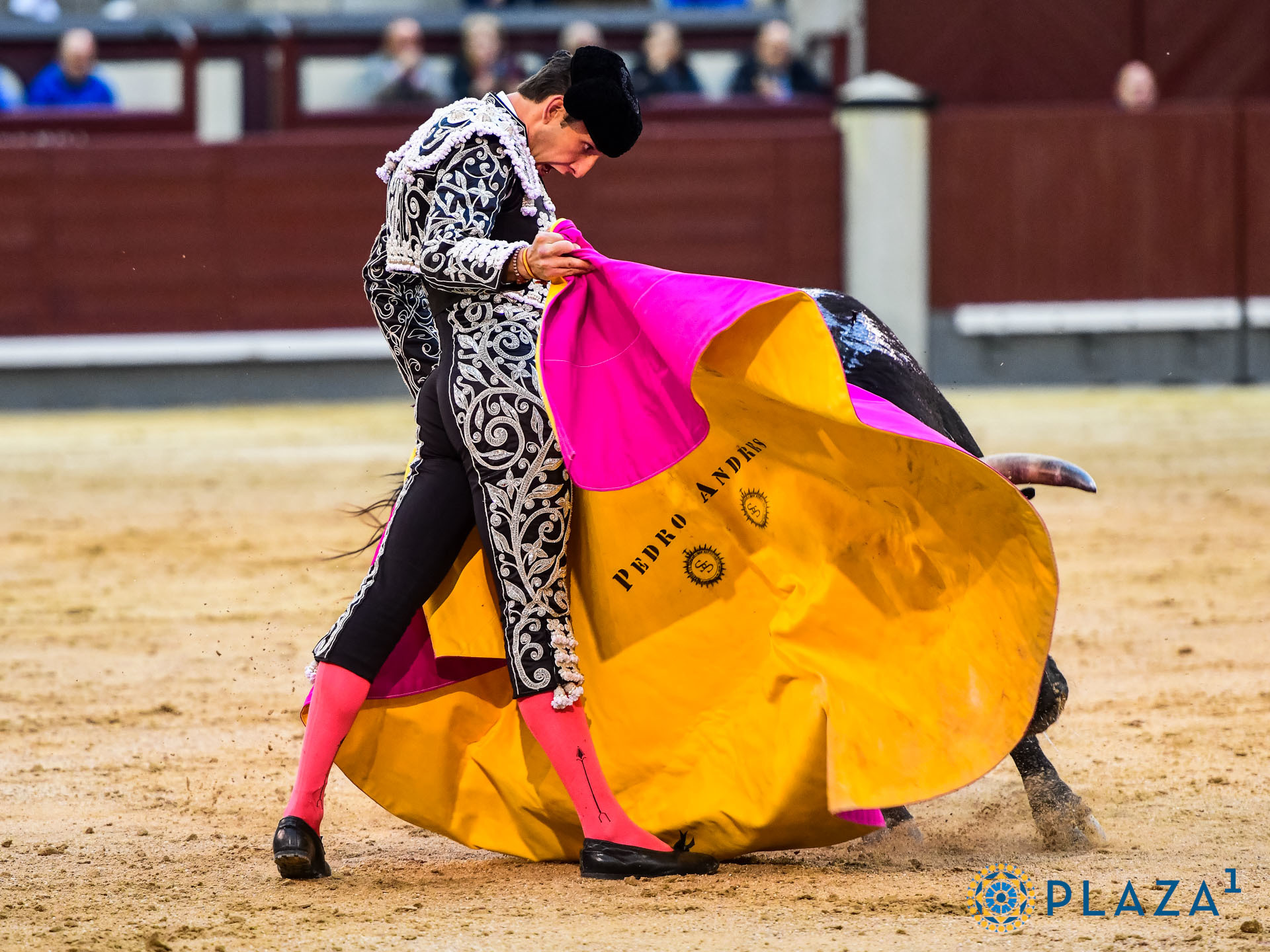 Lance de Pedro Andr�s este domingo en Las Ventas