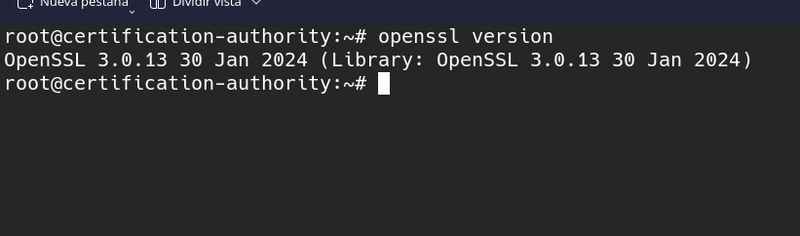 Versión OpenSsl