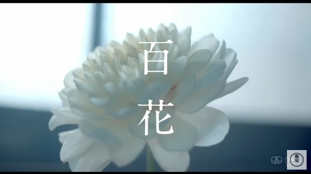 长泽雅美、永濑正敏加盟,川村元气电影《百花》预告公开