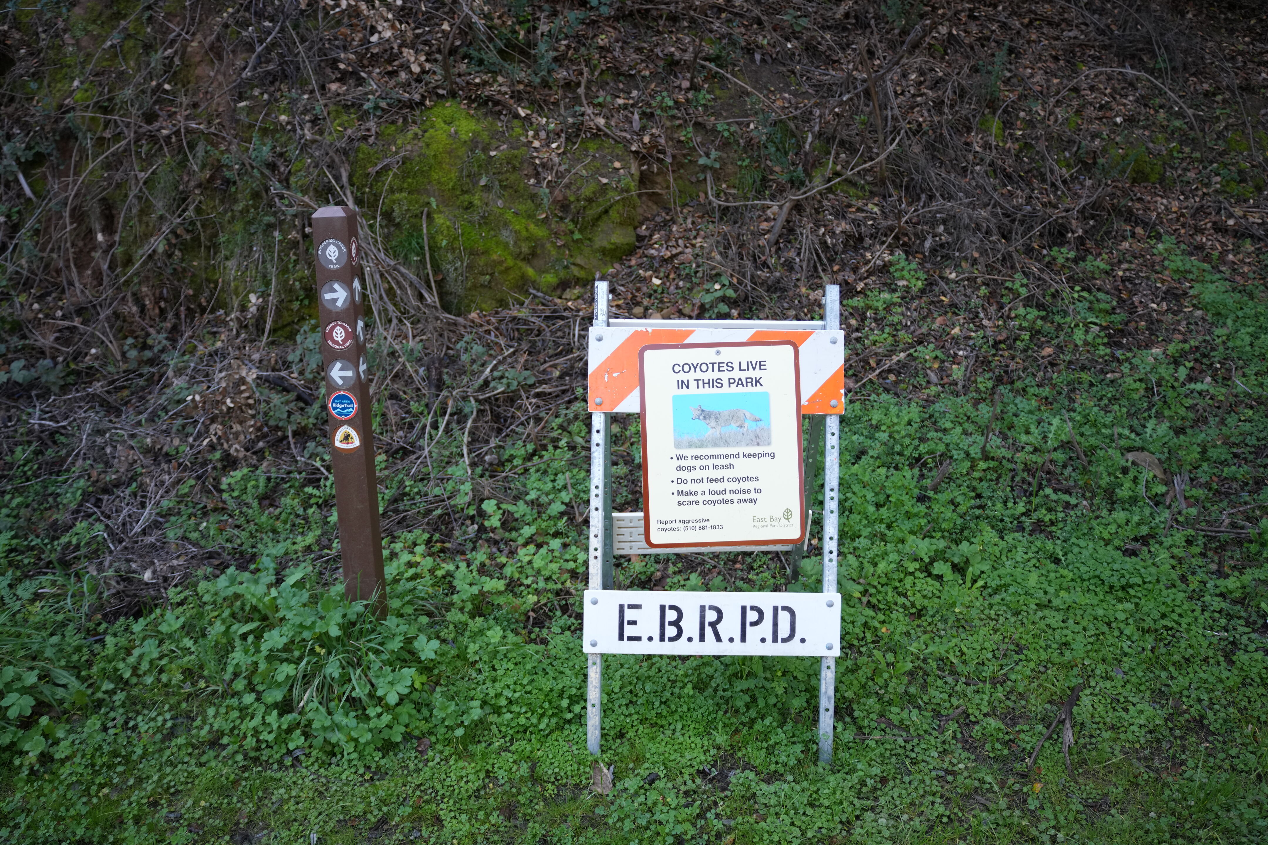 Don Castro Regional Recreation Area
