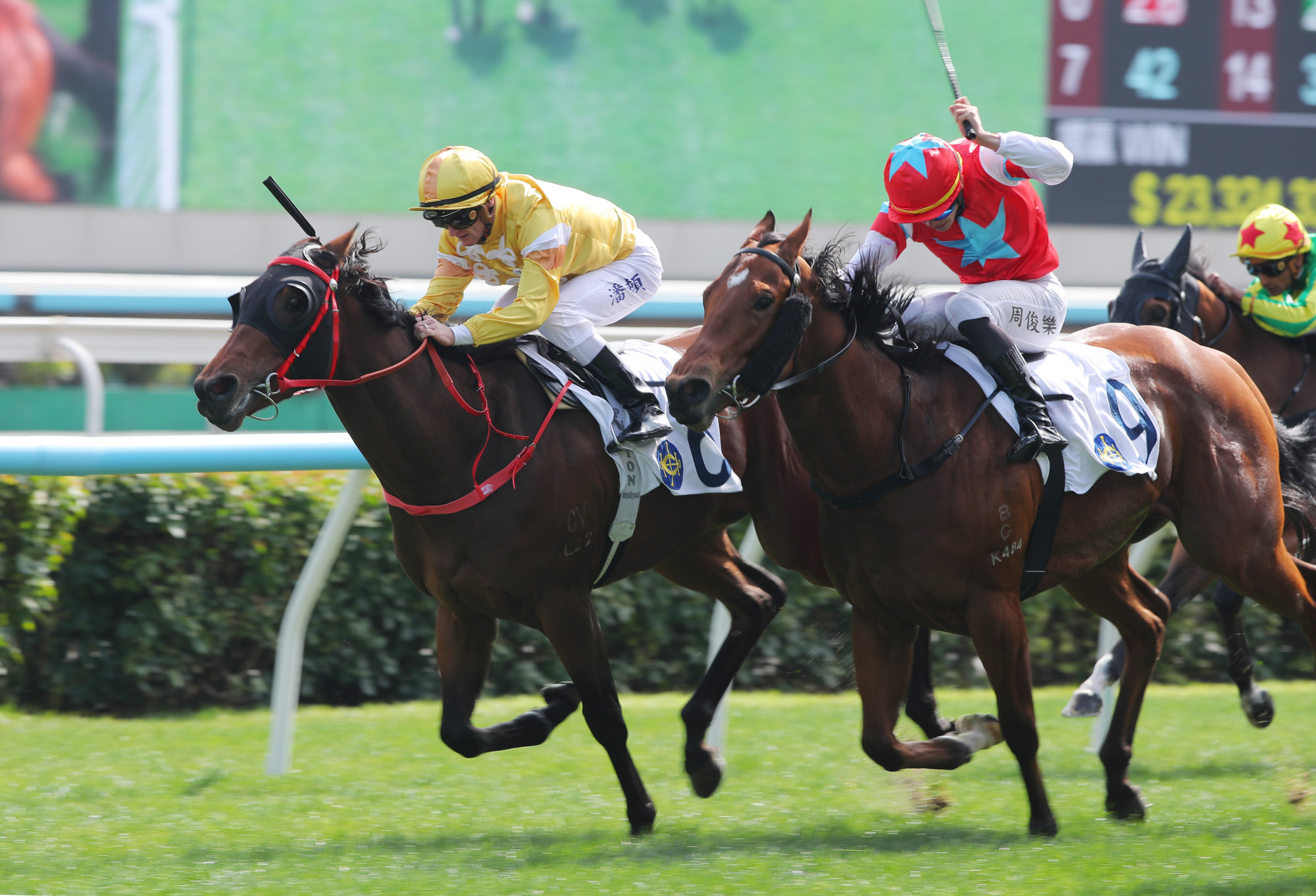 Crossborderdude (left) ridden by Zac Purton scores at Sha Tin. Crossborderdude (left) ridden by Zac Purton scores at Sha Tin.