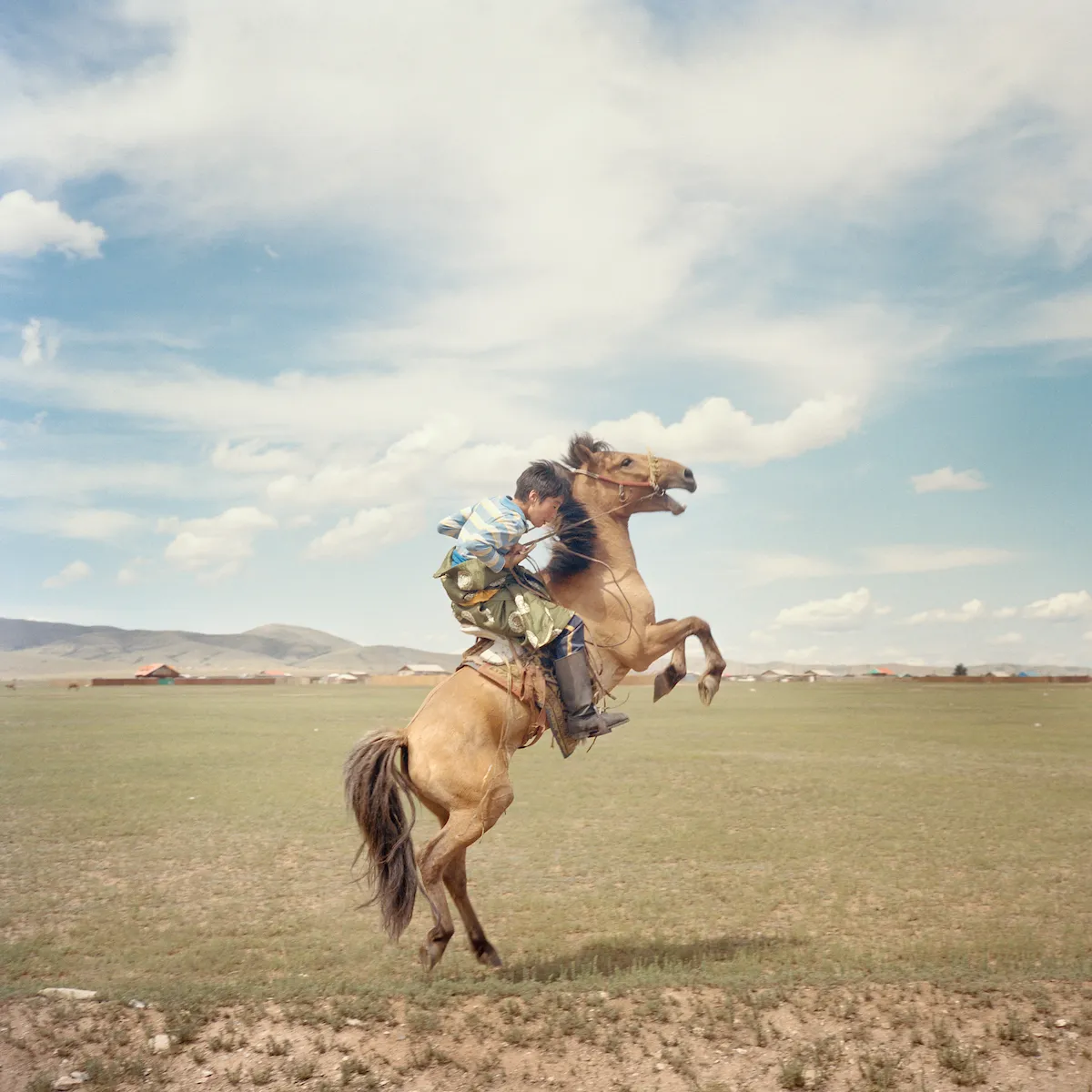 Image may contain Adult Person Animal Horse Horseback Riding Leisure Activities Mammal Face Head and Photography