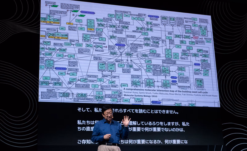 酵母細胞の分子地図のスライド
