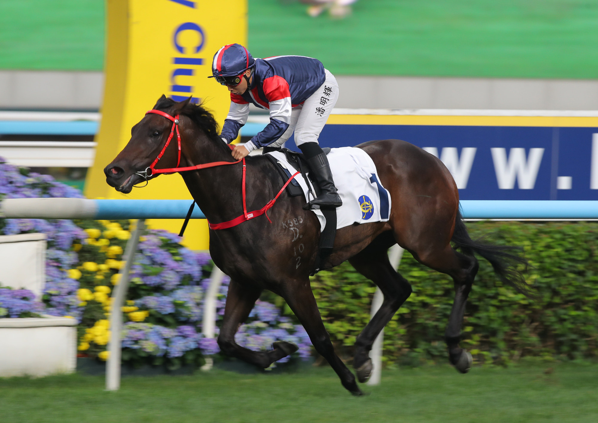 Salon S wins at Sha Tin. Salon S wins at Sha Tin.