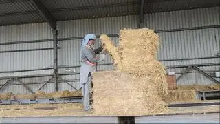FEEDSTOCK: Paddy straw fuels SAEL Industries’ 15 MW biomass-based power plant in Ferozepur, Punjab FEEDSTOCK: Paddy straw fuels SAEL Industries’ 15 MW biomass-based power plant in Ferozepur, Punjab