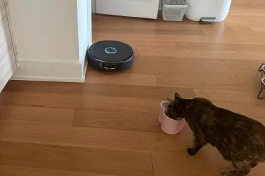 Narwal Flow 2 robot vacuum cleaning hardwood floor near wall and cat eating