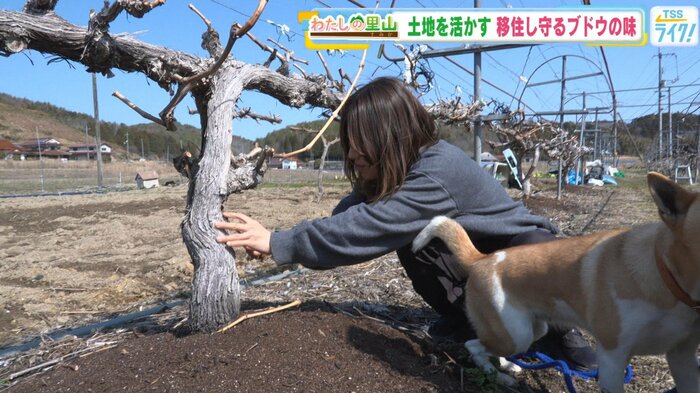 皮をむく作業