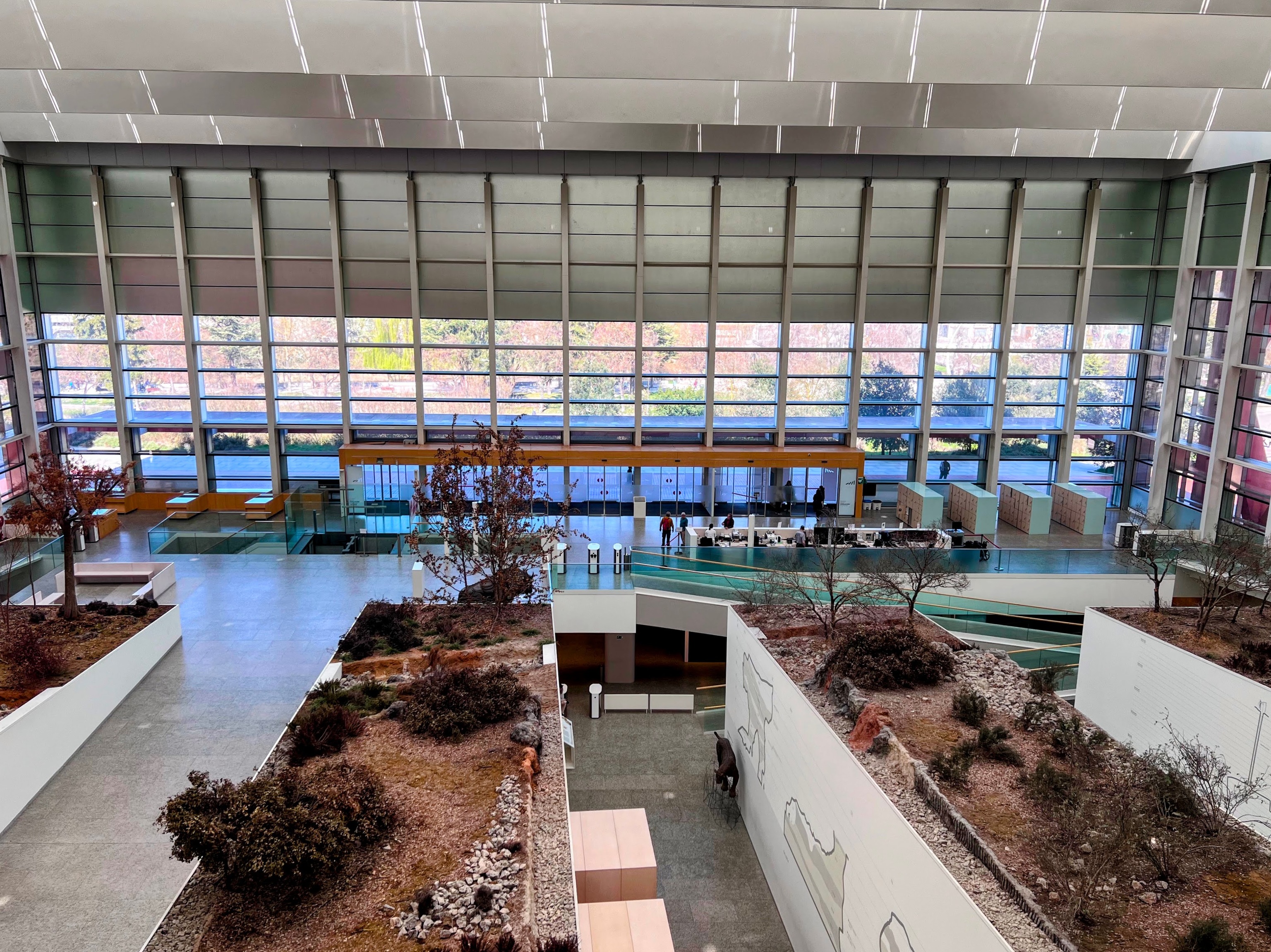 Museo de la Evoluci�n Humana