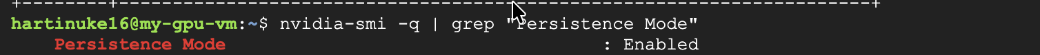 Image verifying the persistence mode is enabled