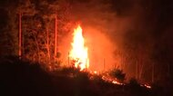 焼失面積が1618haに拡大　岩手・大槌山林火災　鎮圧のめど立たず