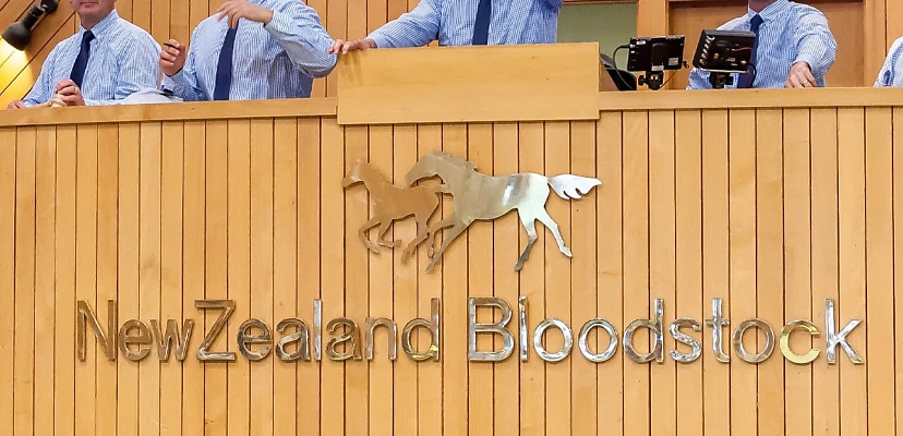 NZ racehorse auction stalled by cyber attack