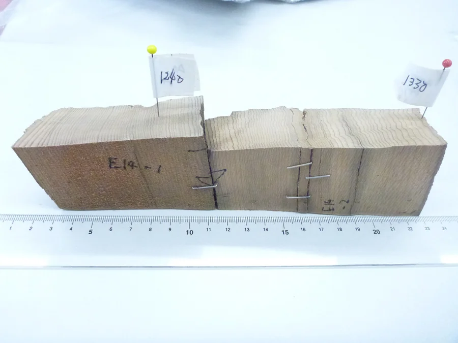 Two rectangular samples of tree trunks show distinct stripes, each of which has a white flag tagging it.