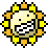 joshp123