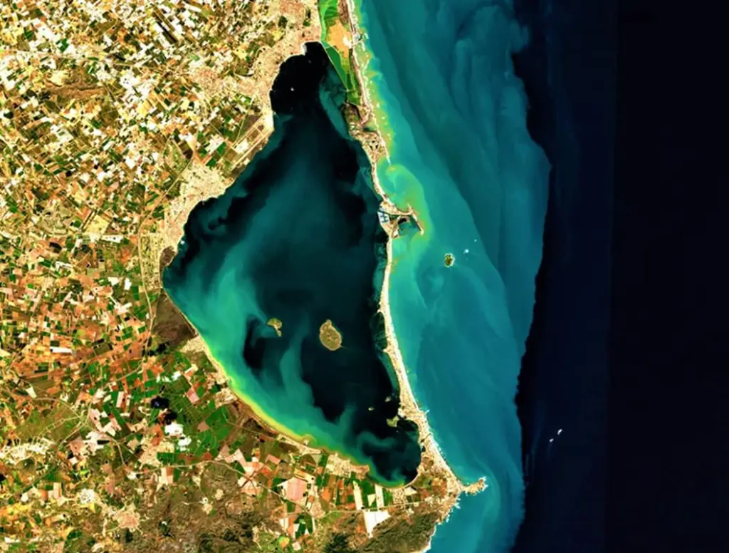 Imagen del Mar Menor captada por el satélite Sentinel-2 durante un episodio de proliferación de algas. El verde intenso de la laguna refleja la concentración de clorofila en el agua. Foto: I. Caballero / ICMAN-CSIC.