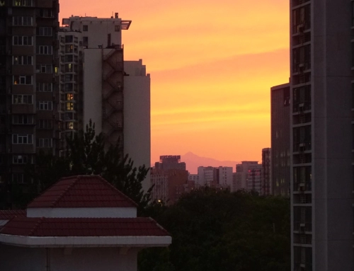 懒得下楼拍的晚霞