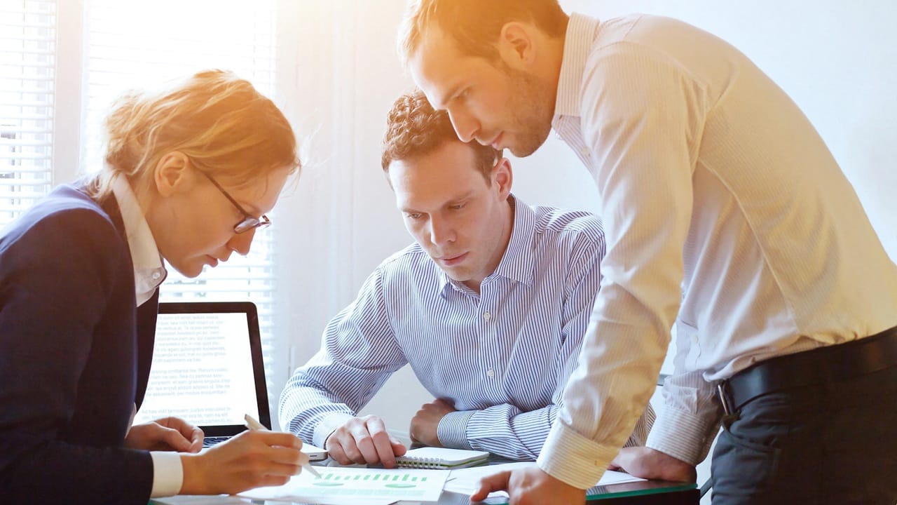 Business team working on a project