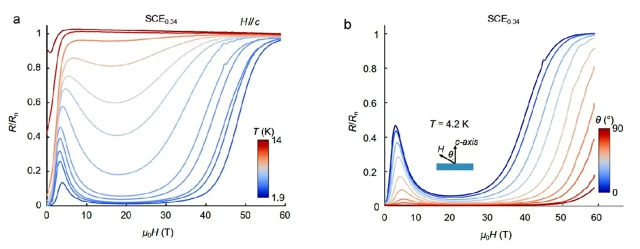 超导与磁场从“水火不容”到“互相成就”:中国科学家在镍氧化物中发现全新量子态,45 特斯拉下仍稳如磐石