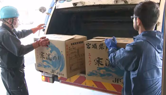 乾ノリに加工されたうえで処分されてしまう