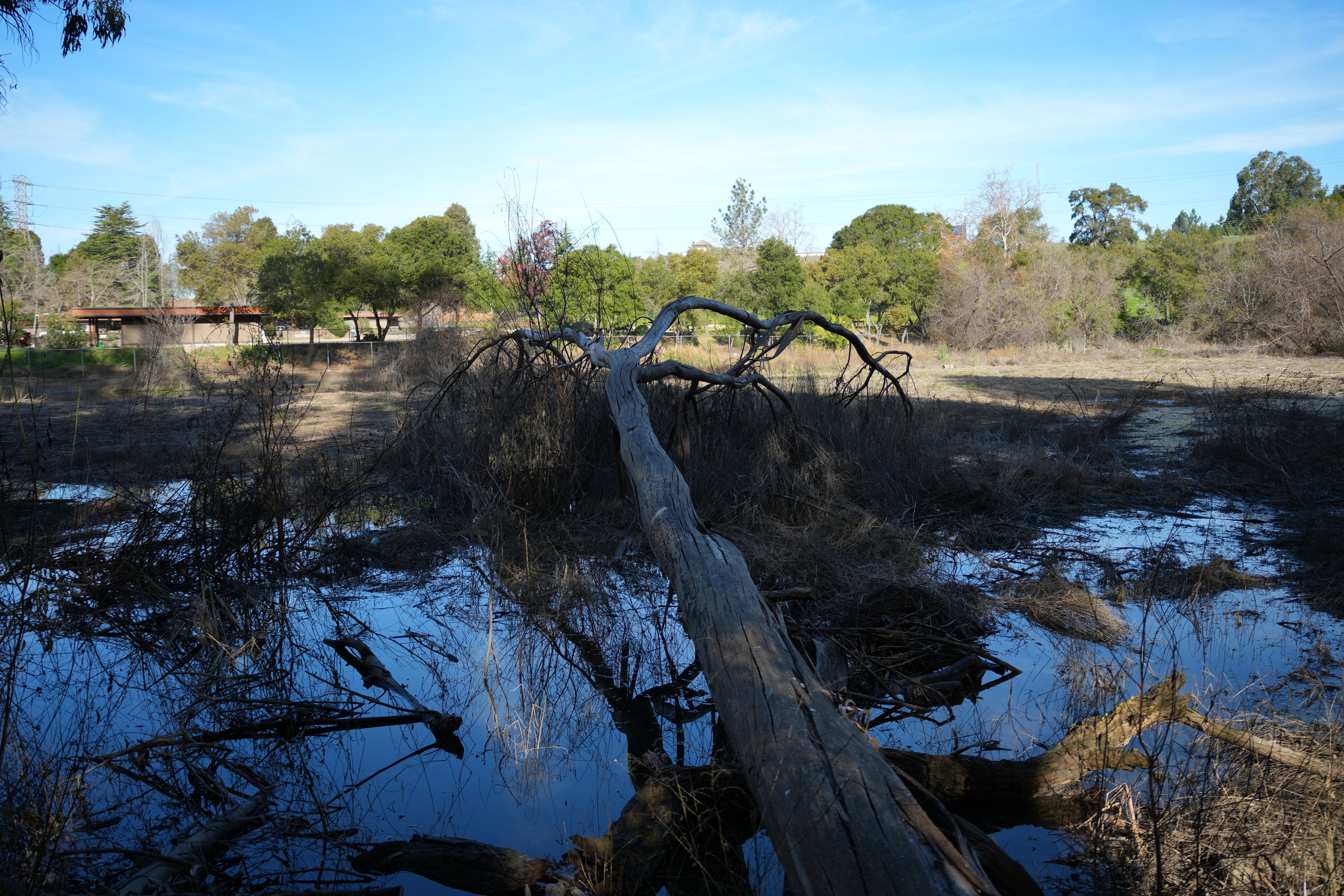Don Castro Regional Recreation Area