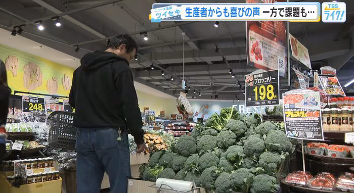 ブロッコリー