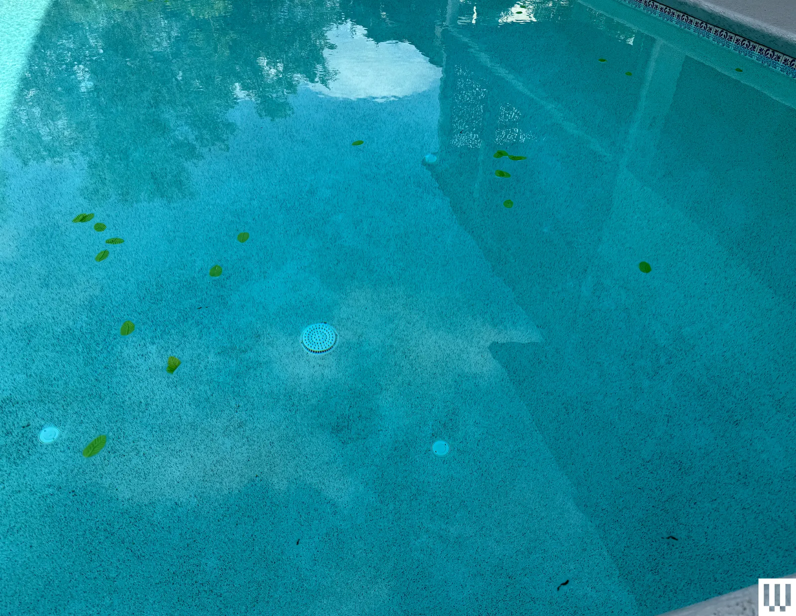 Image may contain Outdoors Water Nature Pool Underwater Swimming Pool and Ocean Floor