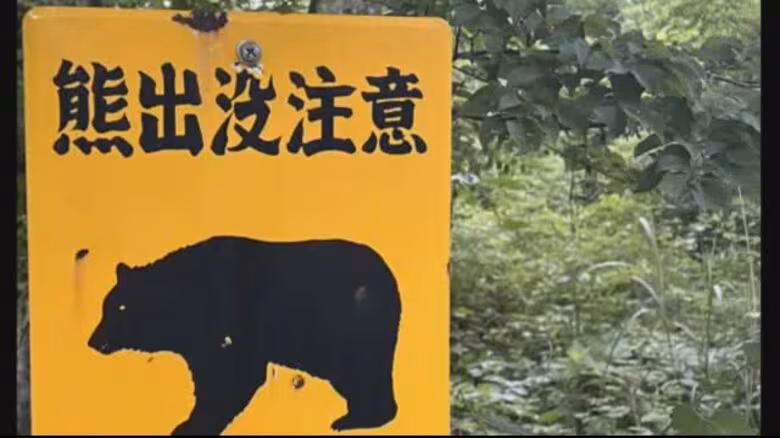 川を泳ぐクマ　通行人が目撃し１１０番通報　国道沿いに住宅や商業施設立ち並ぶエリア〈宮城・富谷市〉｜FNNプライムオンライン