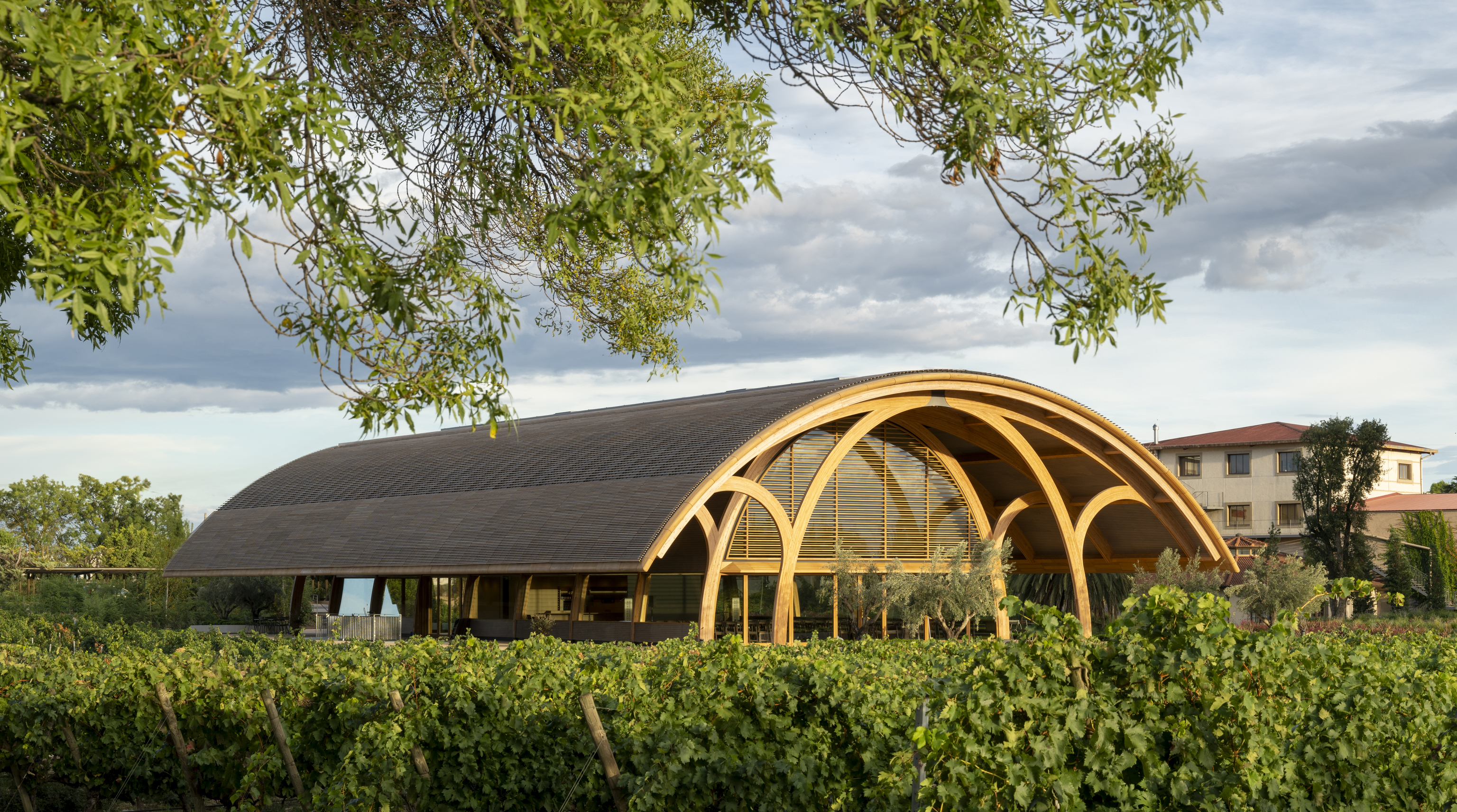 La madera de alerce domina el dise�o de Norman Foster, un edificio multifuncional dedicado al enoturismo que utiliza energ�a fotovoltaica y es autosuficiente.