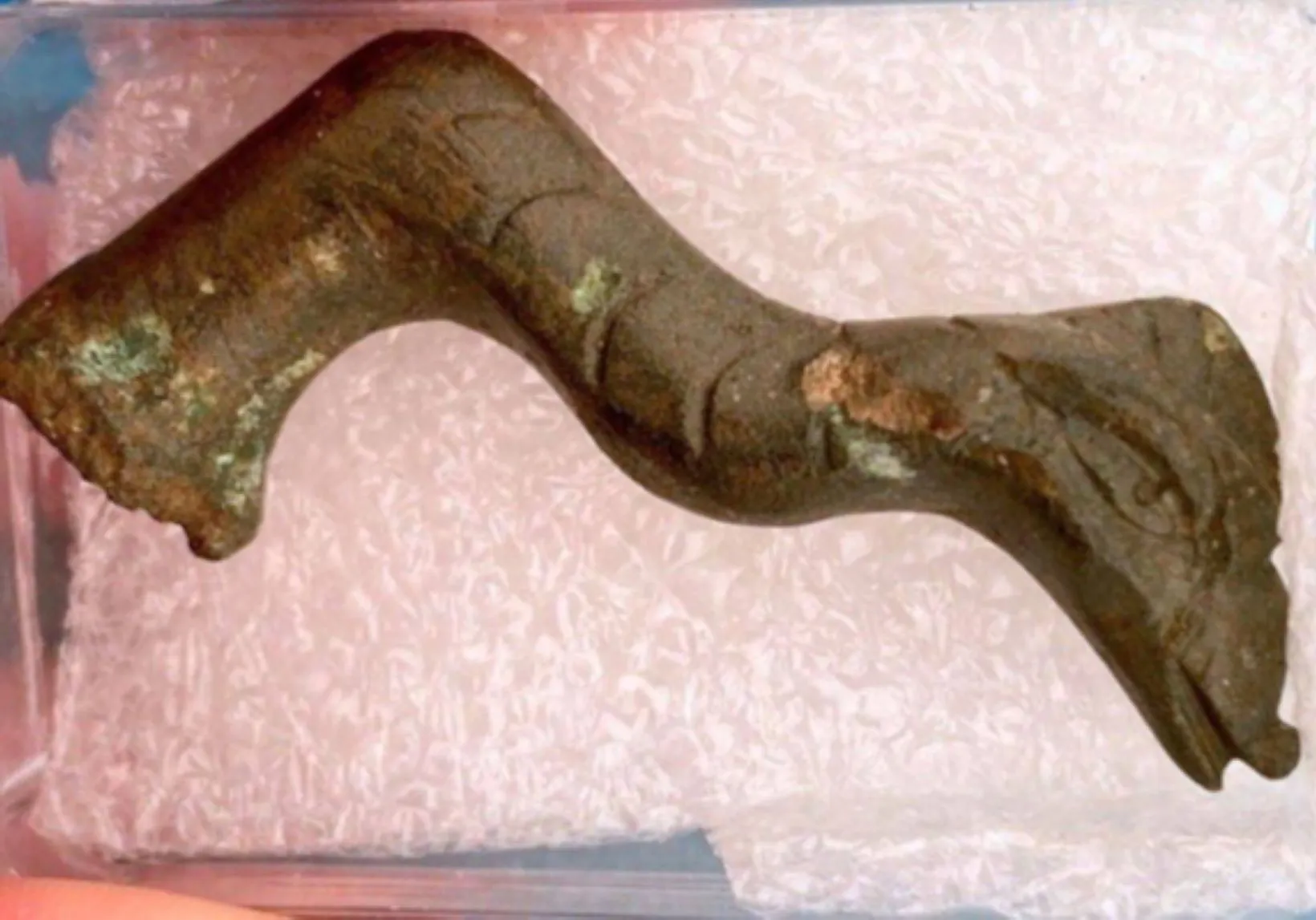 Nessie de Norfolk