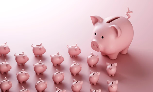 Large piggy bank surrounded by smaller piggy banks
