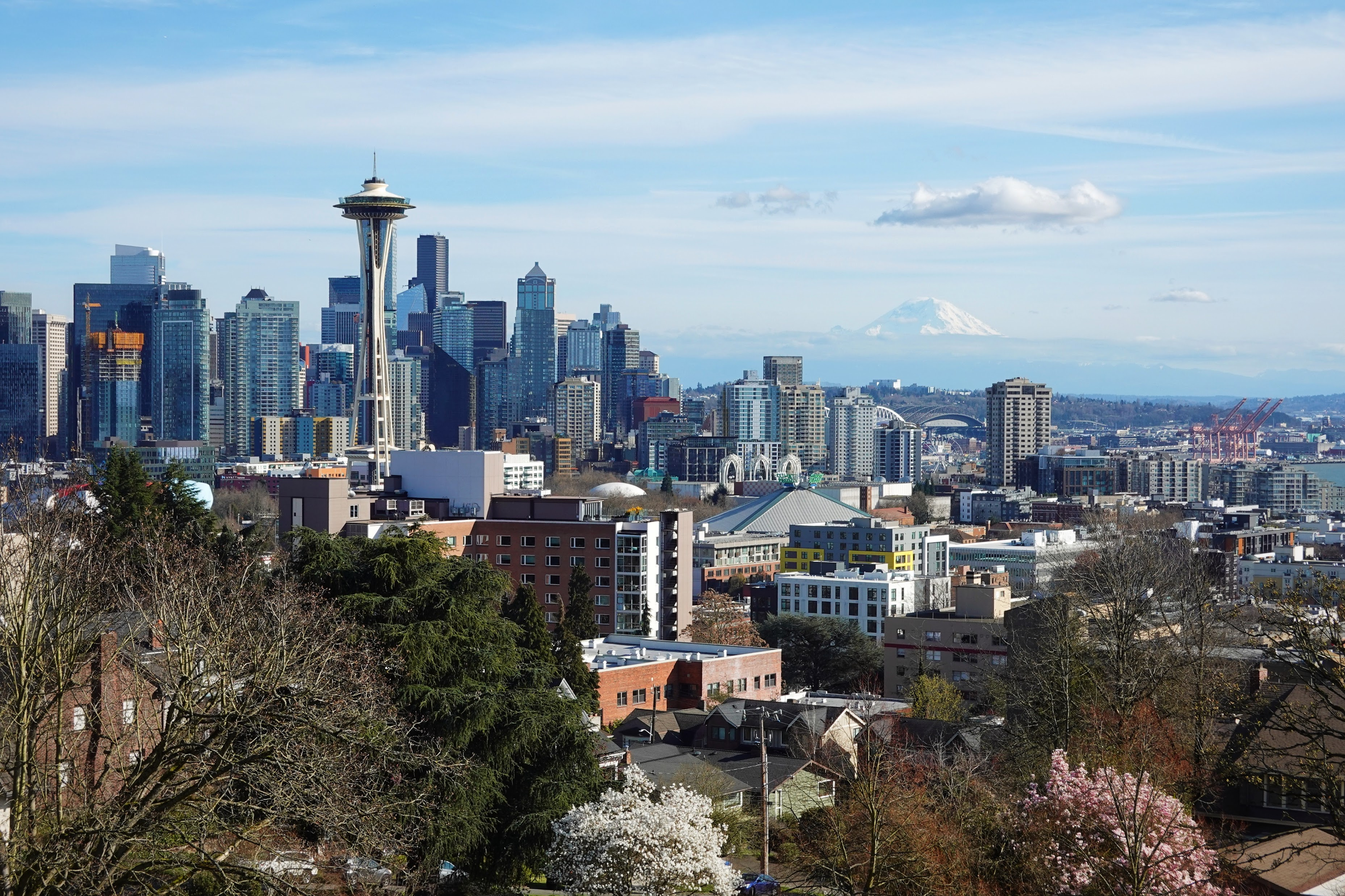 大众赏樱地点之一也不遑多让，天气很给面子，seattle at its finest