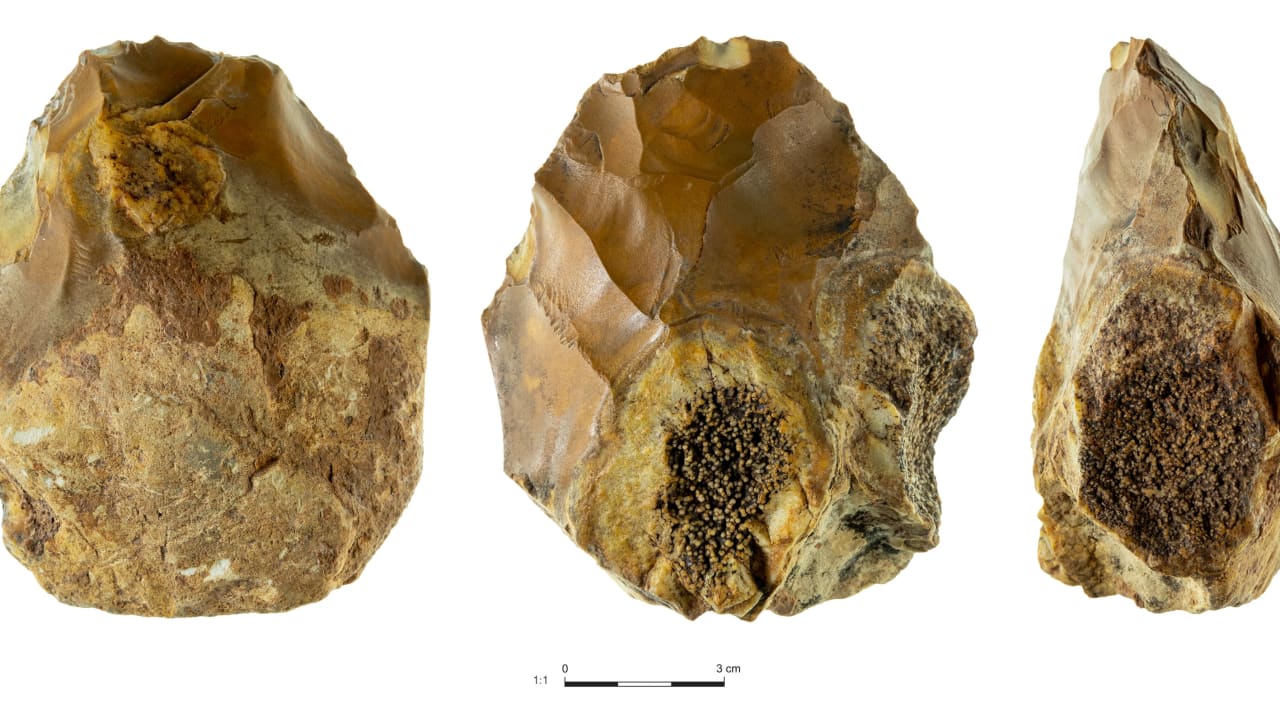  A handaxe incorporating a geode (“Elijah’s apple”) from the Sakhnin Valley in northern Israel, March 24, 2026.