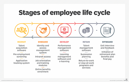 Stages of employee lifecycle graphic.