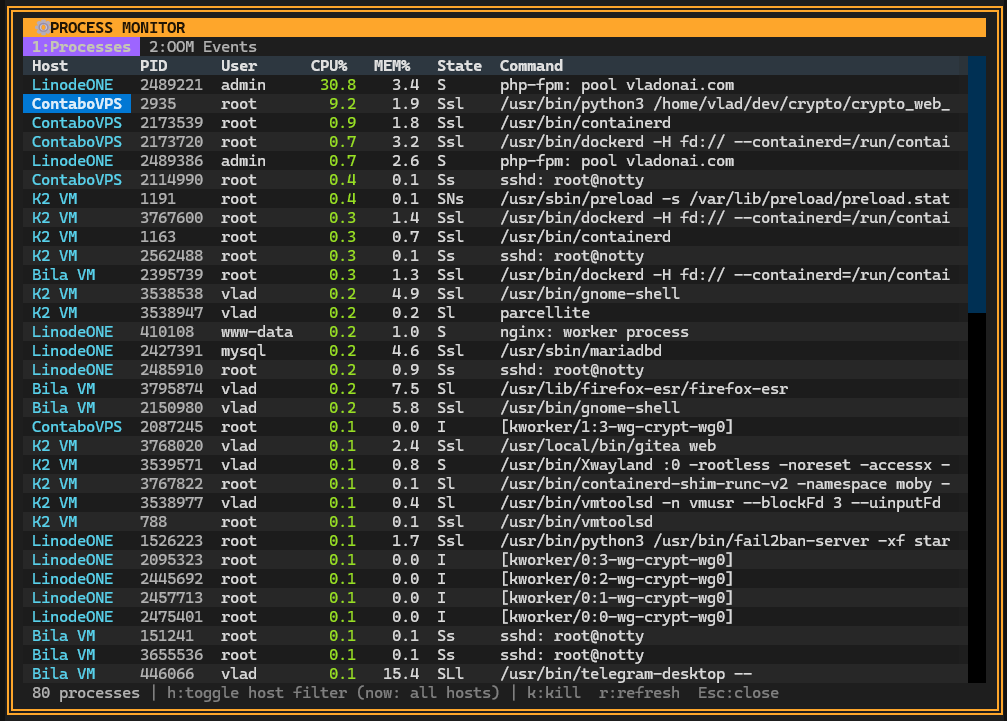 Cross-Host Process Monitor