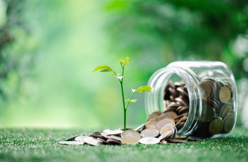 Concept of green finance flourishing businesses invest money and coins into sustainable ventures, nurturing growth of nature-friendly projects and ensuring prosperous future. green finance growth.