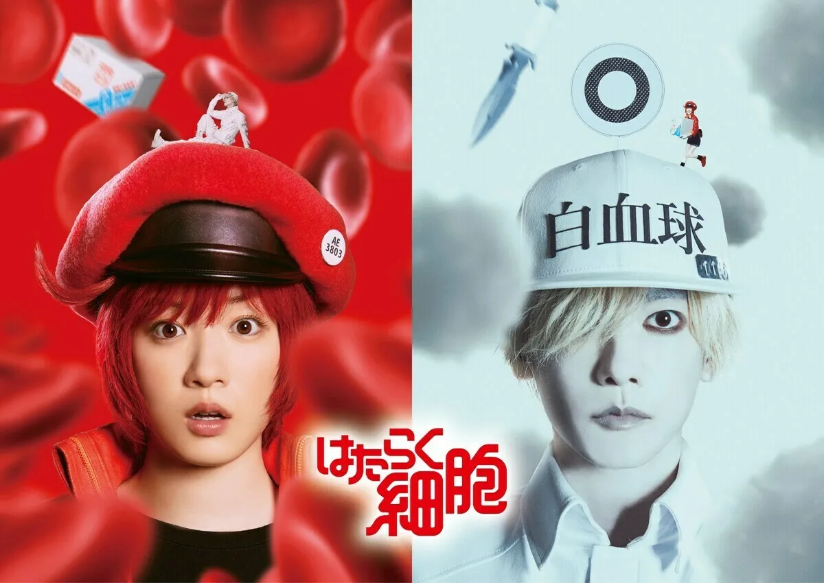 永野芽郁&佐藤健主演,《工作细胞》真人电影公布特报