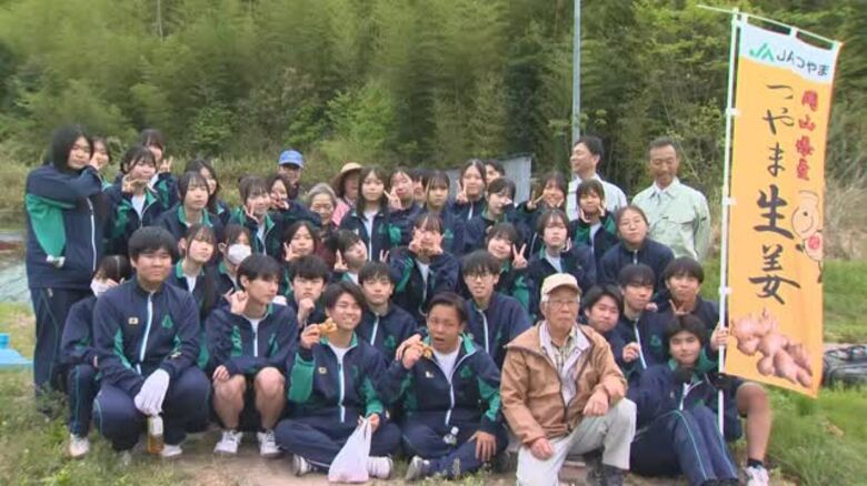 調理学ぶ地元高校生がショウガの栽培作業を体験…年間約７トン出荷する県内有数の産地・津山市【岡山】｜FNNプライムオンライン