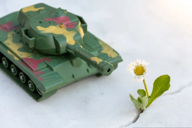 Green toy tank stands before white daisy on snowy surface