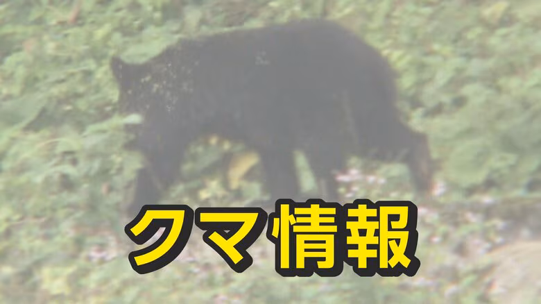 富山市大沢野で2日連続クマ目撃　住宅団地や認定こども園の近く、警察が警戒強化｜FNNプライムオンライン