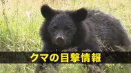【クマ目撃】盛岡市上米内　クマ1頭の目撃　岩手県