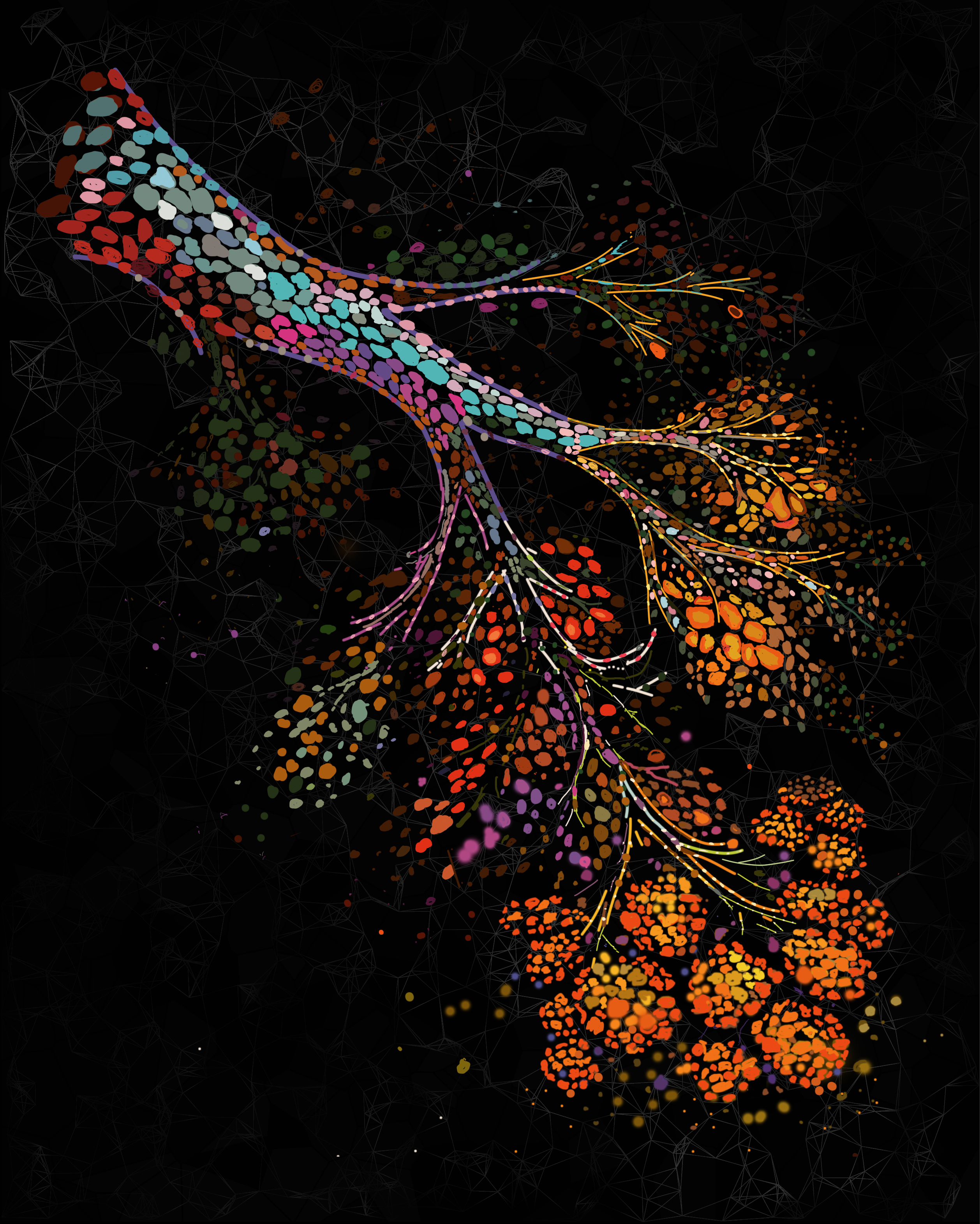Ilustraci�n que representa la remodelaci�n espacial a m�ltiples escalas de la mama humana a medida que envejece.
