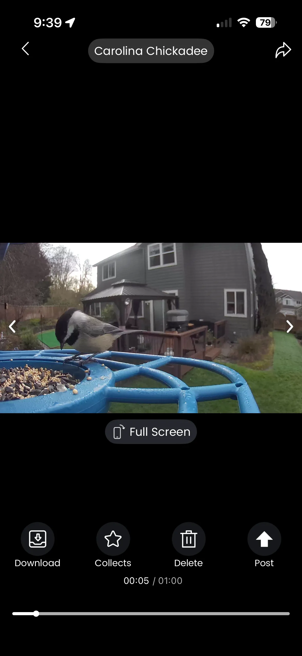 Image may contain Animal Bird Beak Backyard Nature Outdoors and Yard